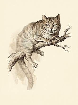 The Cheshire Cat